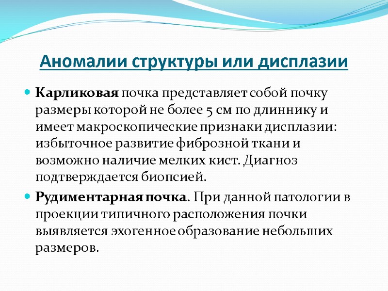 Аномалии структуры или дисплазии Карликовая почка представляет собой почку размеры которой не более 5